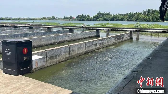 11ba0c80cc2d4c6d9194a7c249a42fc0.jpg 11ba0c80cc2d4c6d9194a7c249a42fc0.jpg