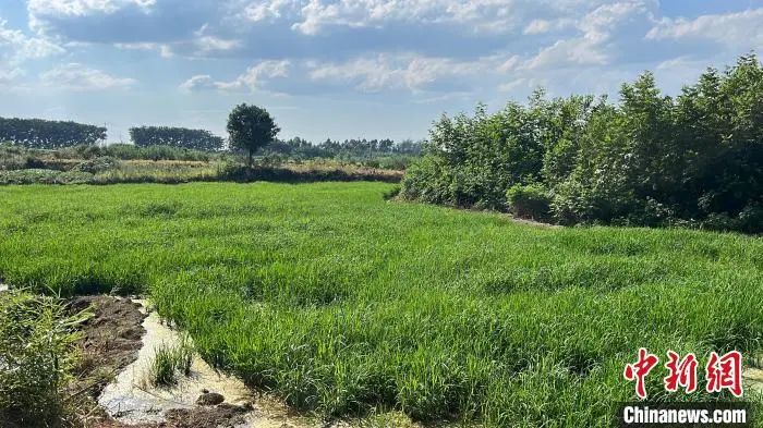 f5abbd7b19614e3ca8f9a18ae84d1c1f.jpg f5abbd7b19614e3ca8f9a18ae84d1c1f.jpg