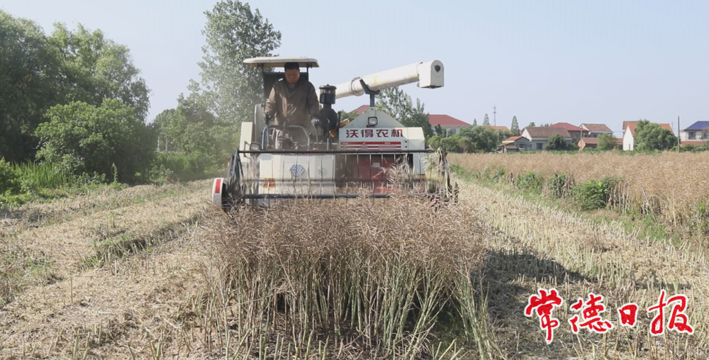 3154981_f337ca3c-1e6f-48a1-aa76-1d8c6c7045e3_cut_batchwm