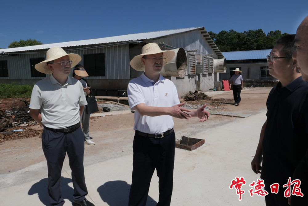 微信图片_2025-08-18_180403_529